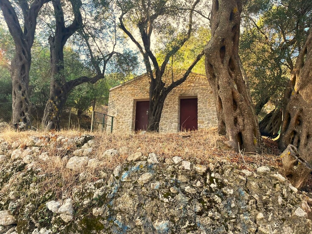 Land in Corfu, Corfu Prefecture, Greece – 61049