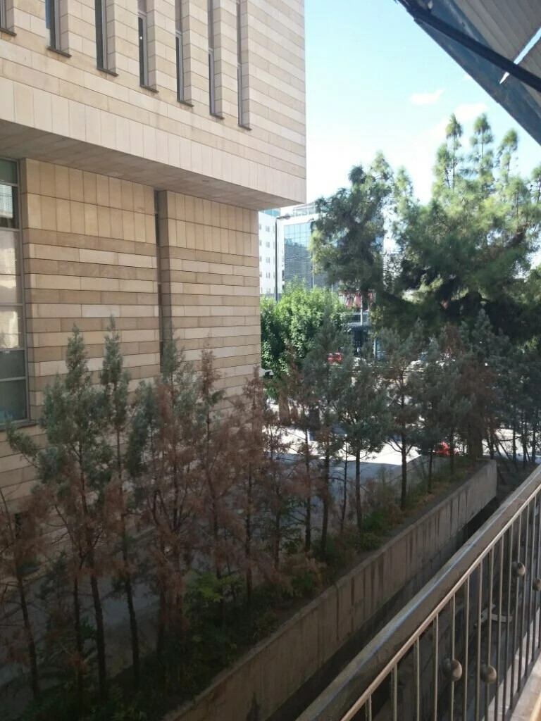 Commercial property in Neos Kosmos, Athens – Center, Greece – 60969