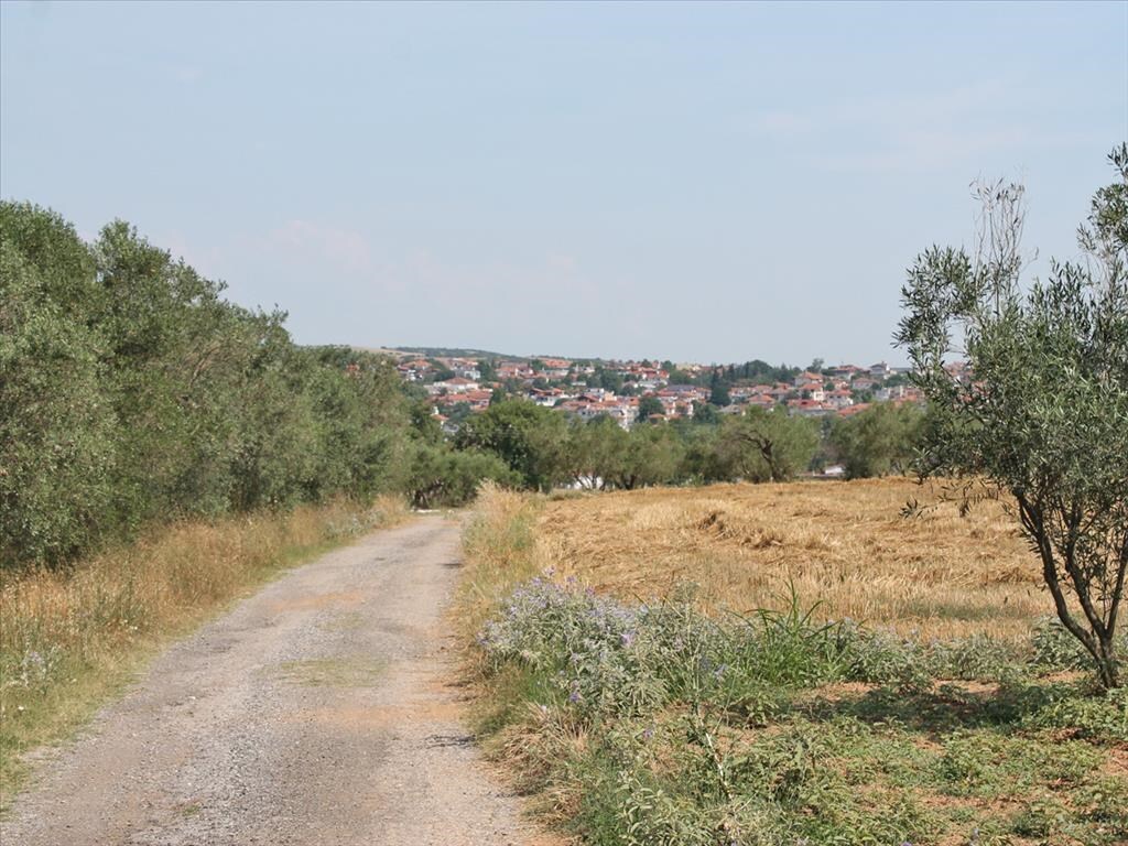 Land in Pidna, Pieria Prefecture, Greece – 60952