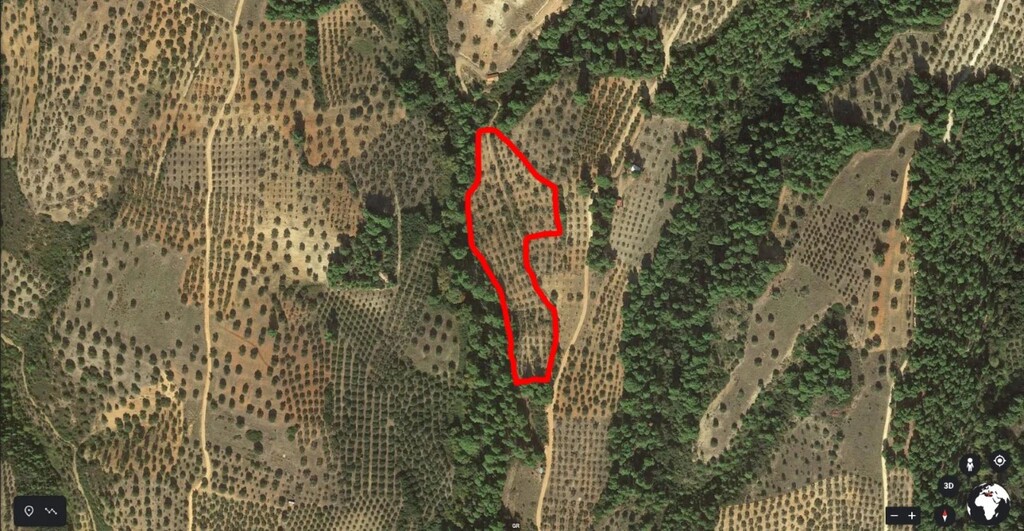Land in Sithonia, Chalkidiki, Greece – 60943