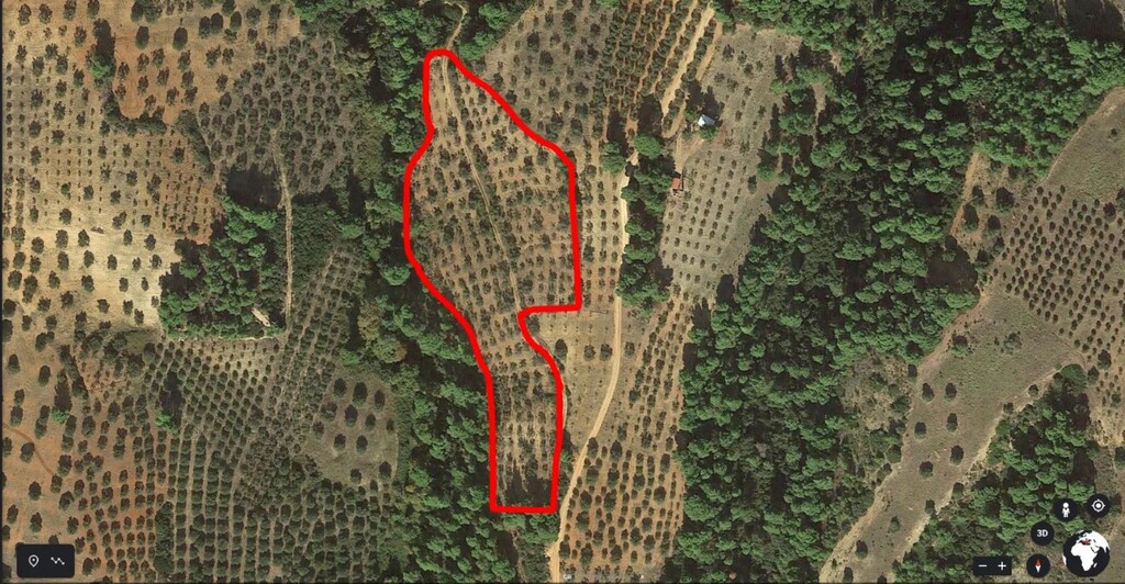Land in Sithonia, Chalkidiki, Greece – 60943