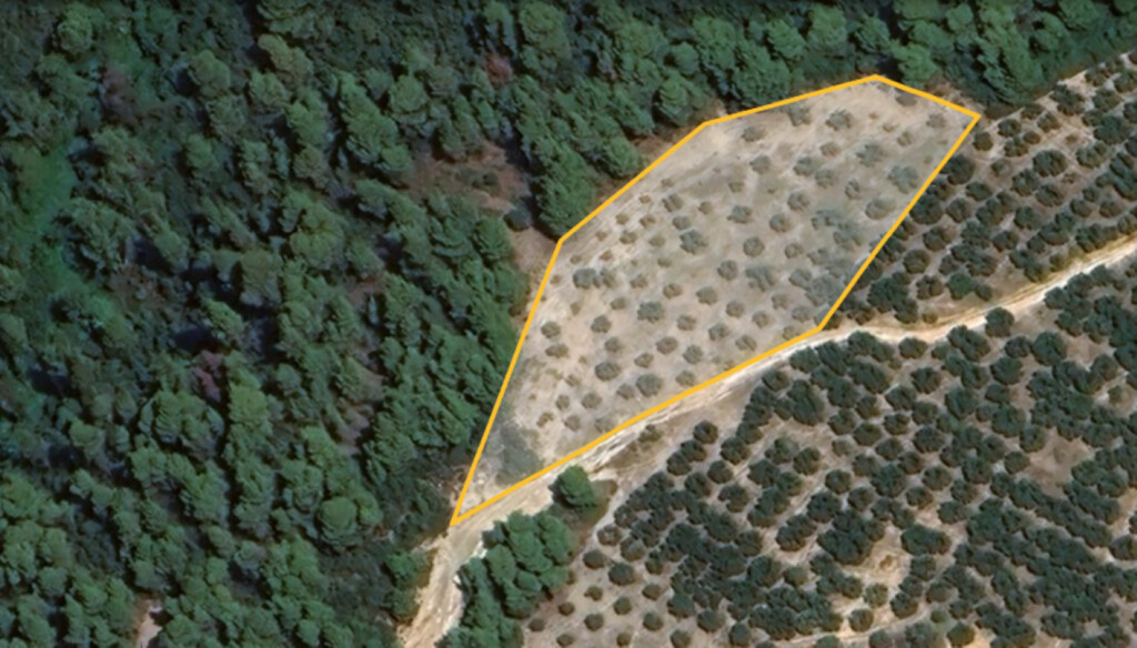 Land in Sithonia, Chalkidiki, Greece – 60907