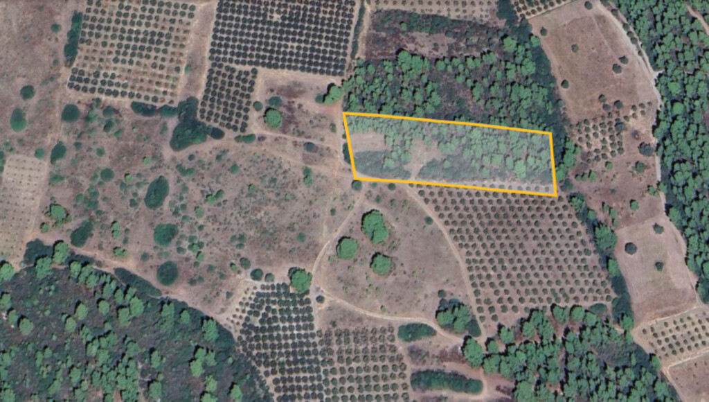Land in Poligiros, Chalkidiki, Greece – 60903
