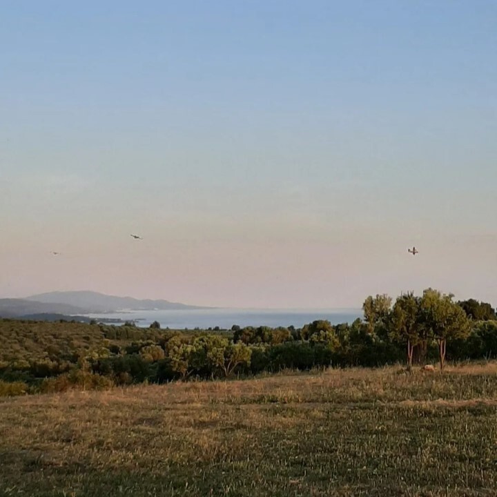 Land in Sithonia, Chalkidiki, Greece – 60892