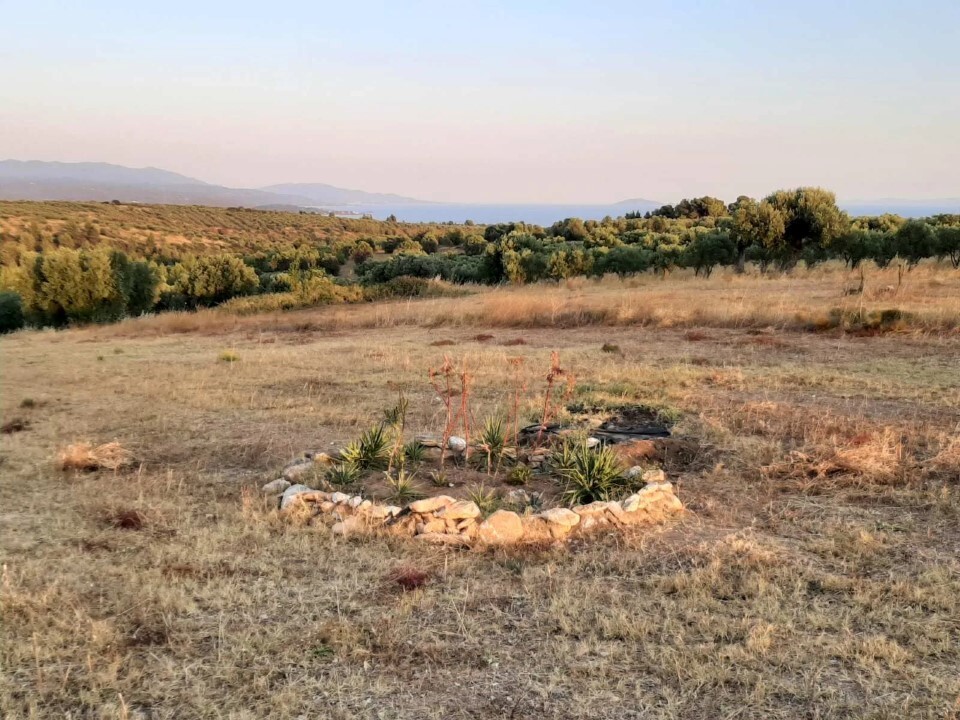 Land in Sithonia, Chalkidiki, Greece – 60892