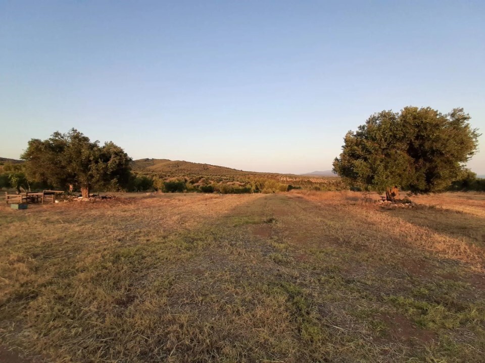 Land in Sithonia, Chalkidiki, Greece – 60892
