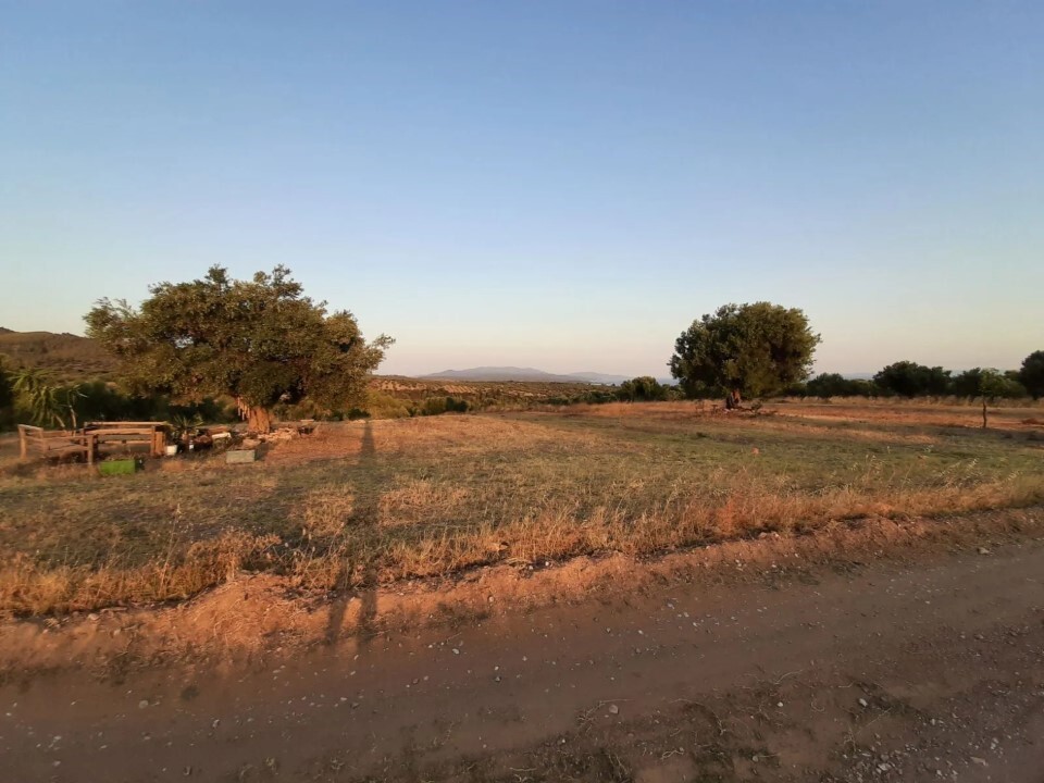 Land in Sithonia, Chalkidiki, Greece – 60892
