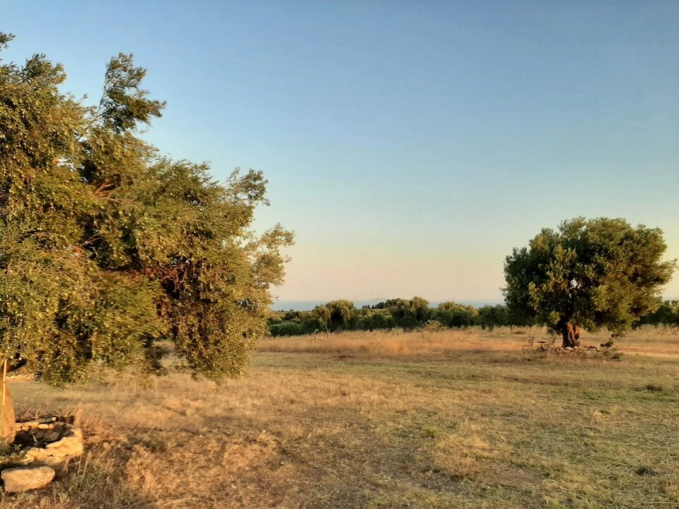 Land in Sithonia, Chalkidiki, Greece – 60892