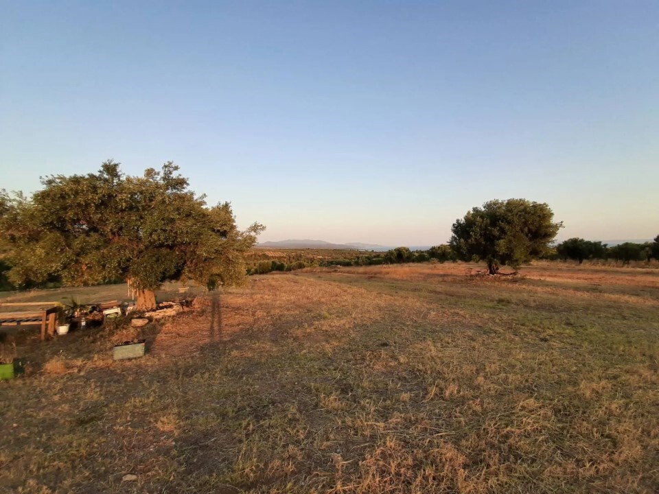 Land in Sithonia, Chalkidiki, Greece – 60892