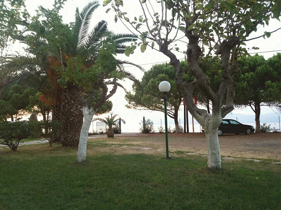 Building in Diakopto, Achaia, Greece – 60880