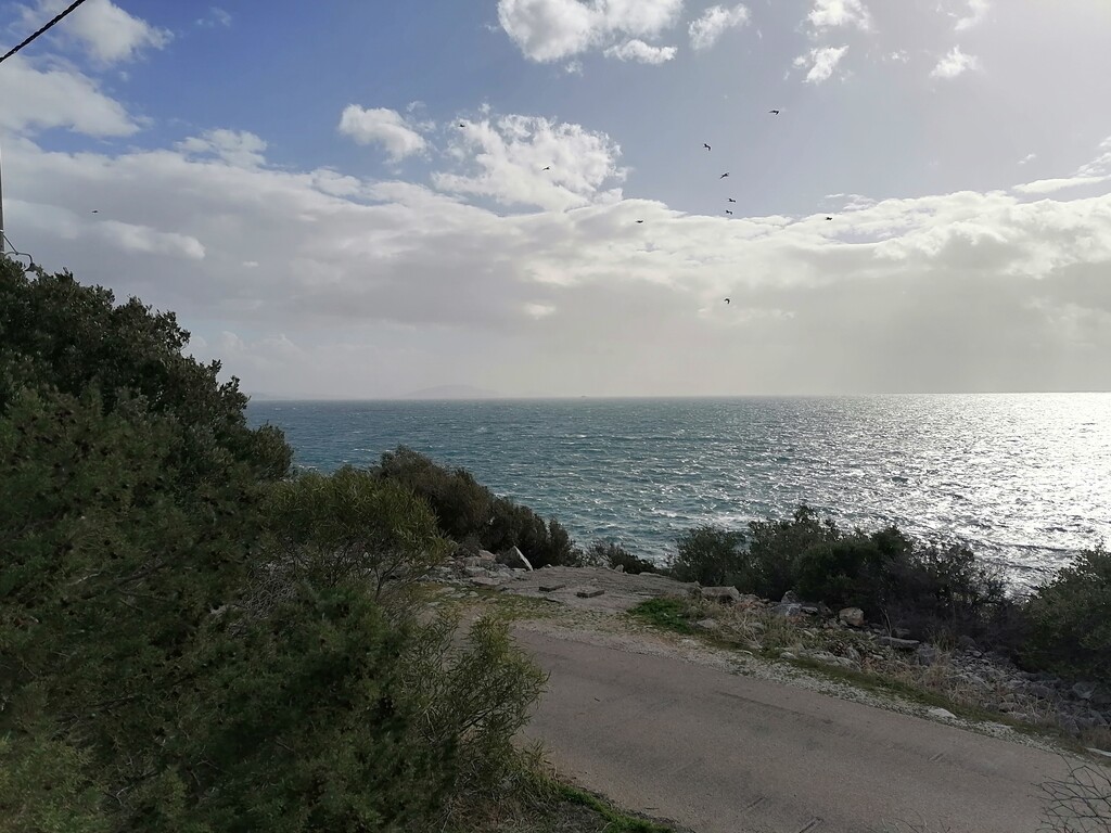 Land in Marathonas, Athens – East, Greece – 60861