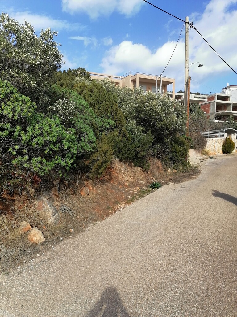 Land in Marathonas, Athens – East, Greece – 60861