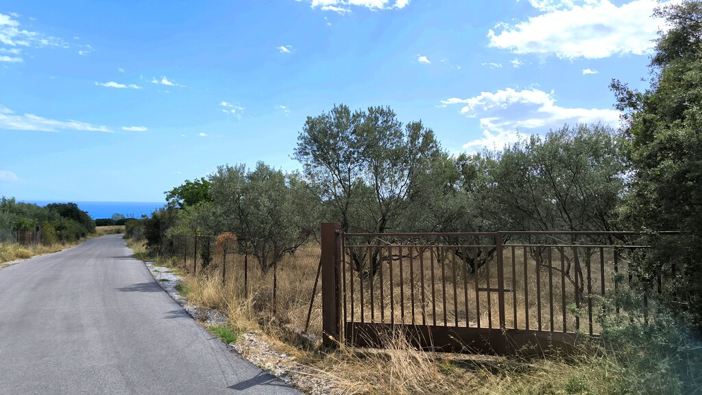 Land in Litochoro, Pieria Prefecture, Greece – 60823