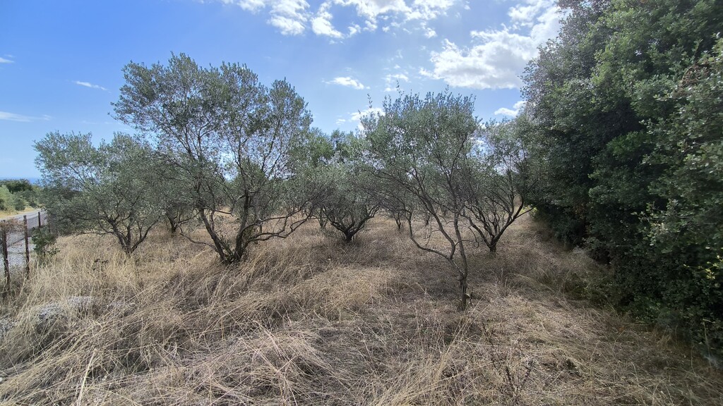 Land in Litochoro, Pieria Prefecture, Greece – 60823