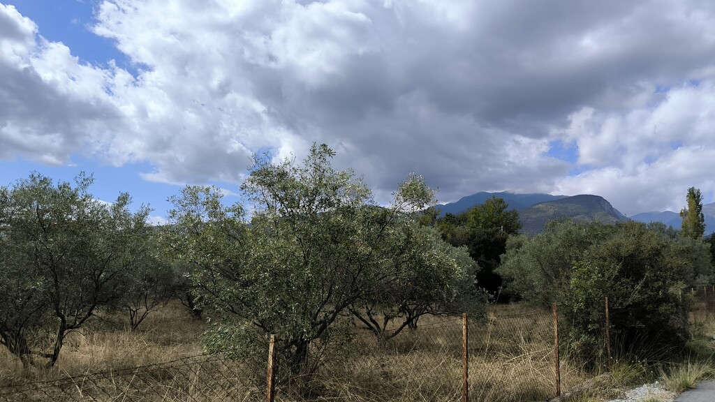 Land in Litochoro, Pieria Prefecture, Greece – 60823