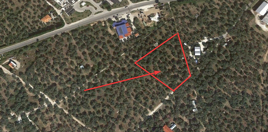 Land in Thasos, Kavala Prefecture, Greece – 60801