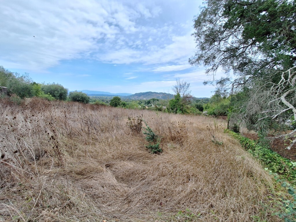 Land in Corfu, Corfu Prefecture, Greece – 60789