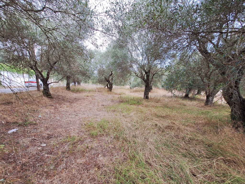 Land in Corfu, Corfu Prefecture, Greece – 60789