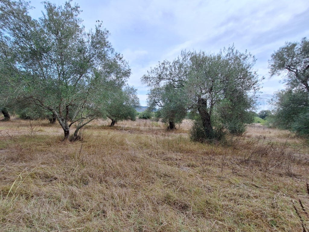 Land in Corfu, Corfu Prefecture, Greece – 60789