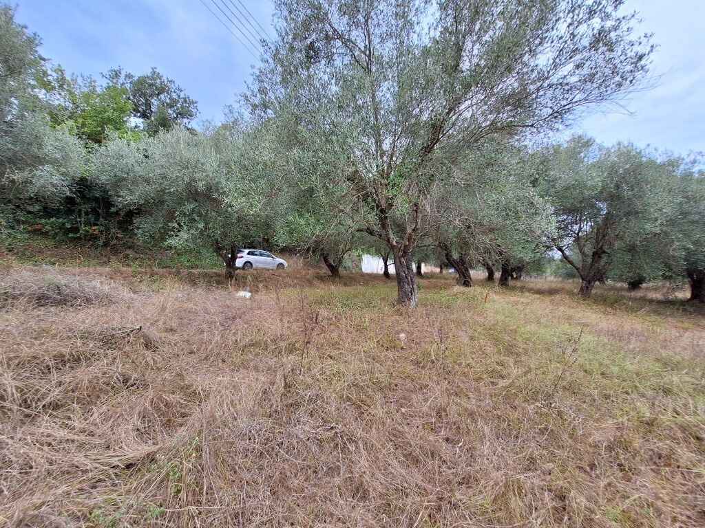 Land in Corfu, Corfu Prefecture, Greece – 60789