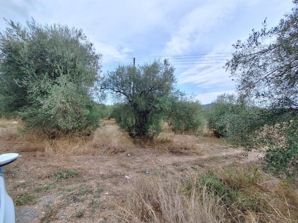 Land in Corfu, Corfu Prefecture, Greece – 60789