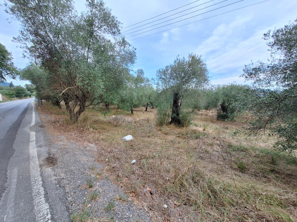 Land in Corfu, Corfu Prefecture, Greece – 60789