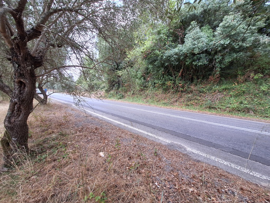 Land in Corfu, Corfu Prefecture, Greece – 60789