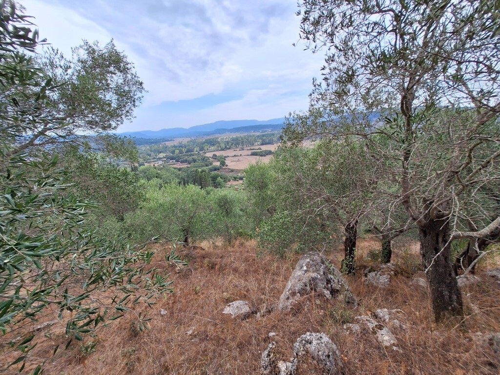 Land in Corfu, Corfu Prefecture, Greece – 60783