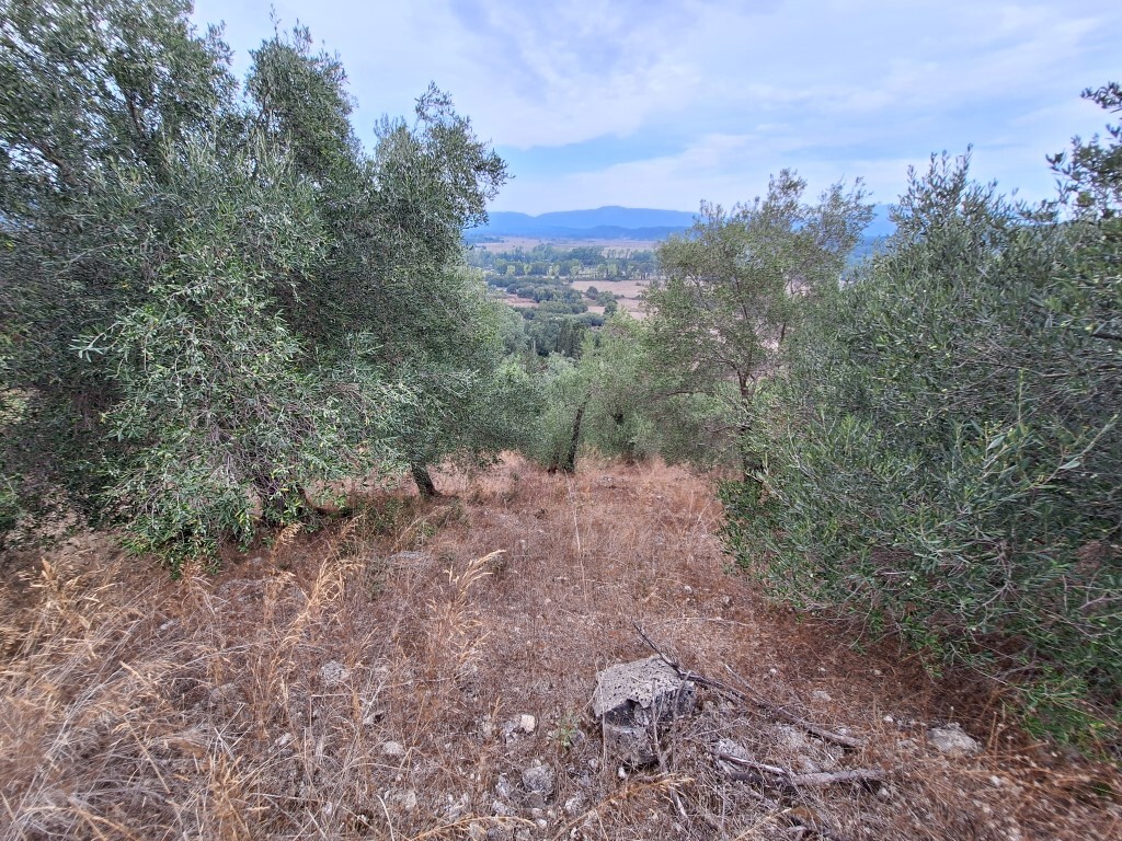 Land in Corfu, Corfu Prefecture, Greece – 60783