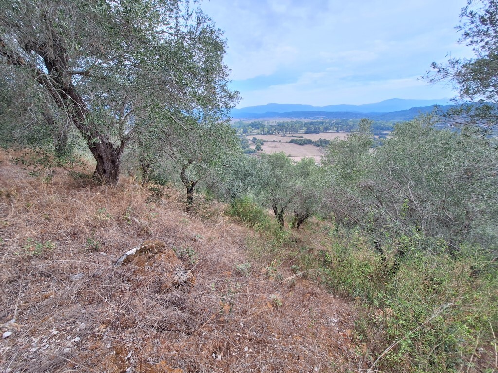 Land in Corfu, Corfu Prefecture, Greece – 60783
