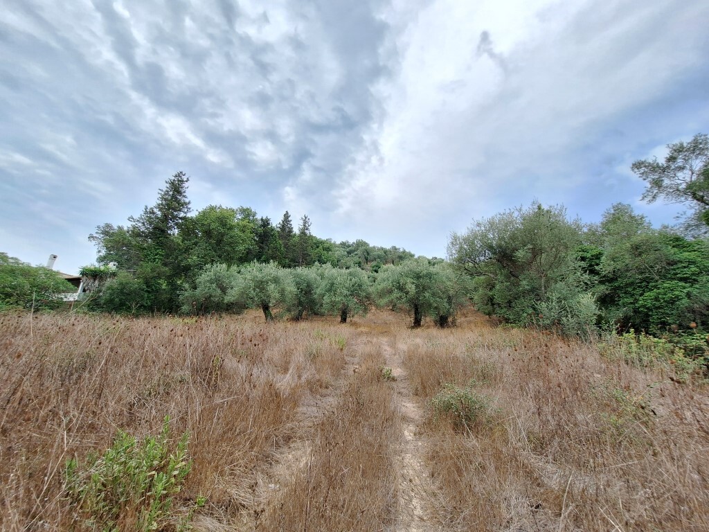 Land in Corfu, Corfu Prefecture, Greece – 60783