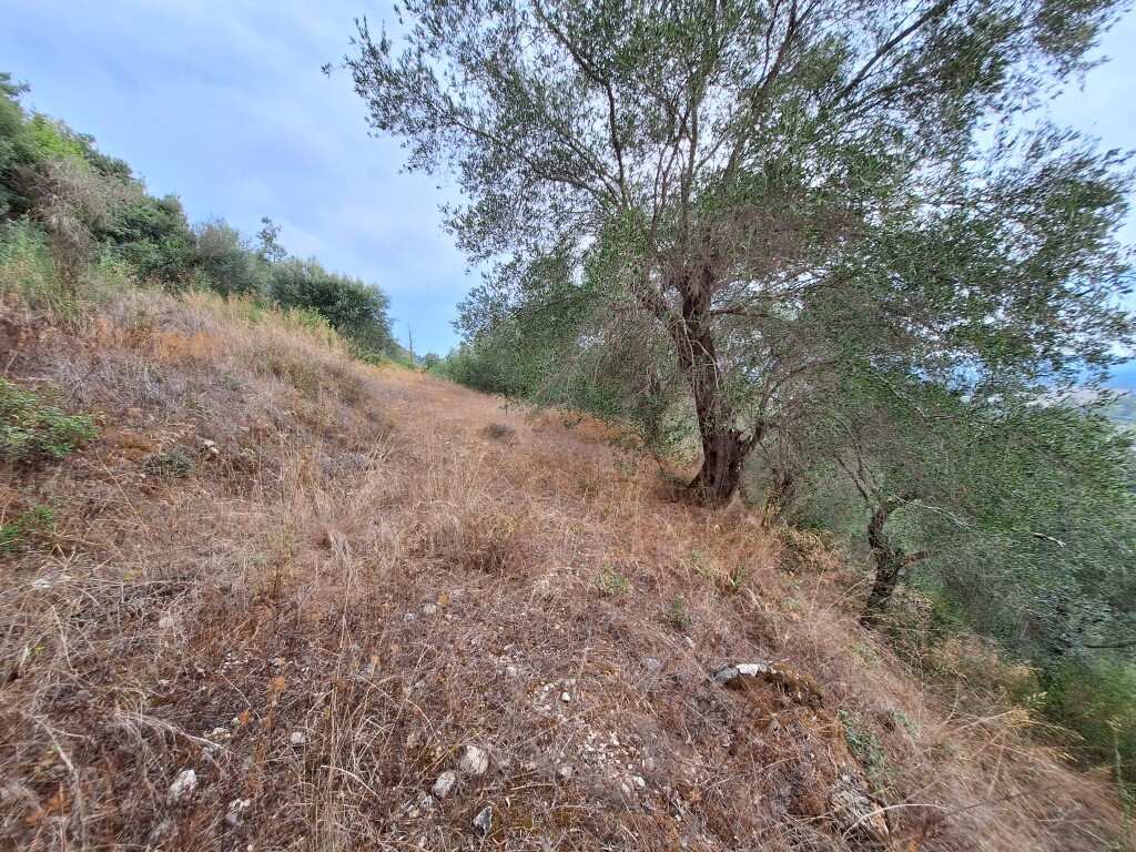 Land in Corfu, Corfu Prefecture, Greece – 60783