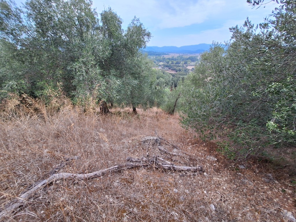 Land in Corfu, Corfu Prefecture, Greece – 60783