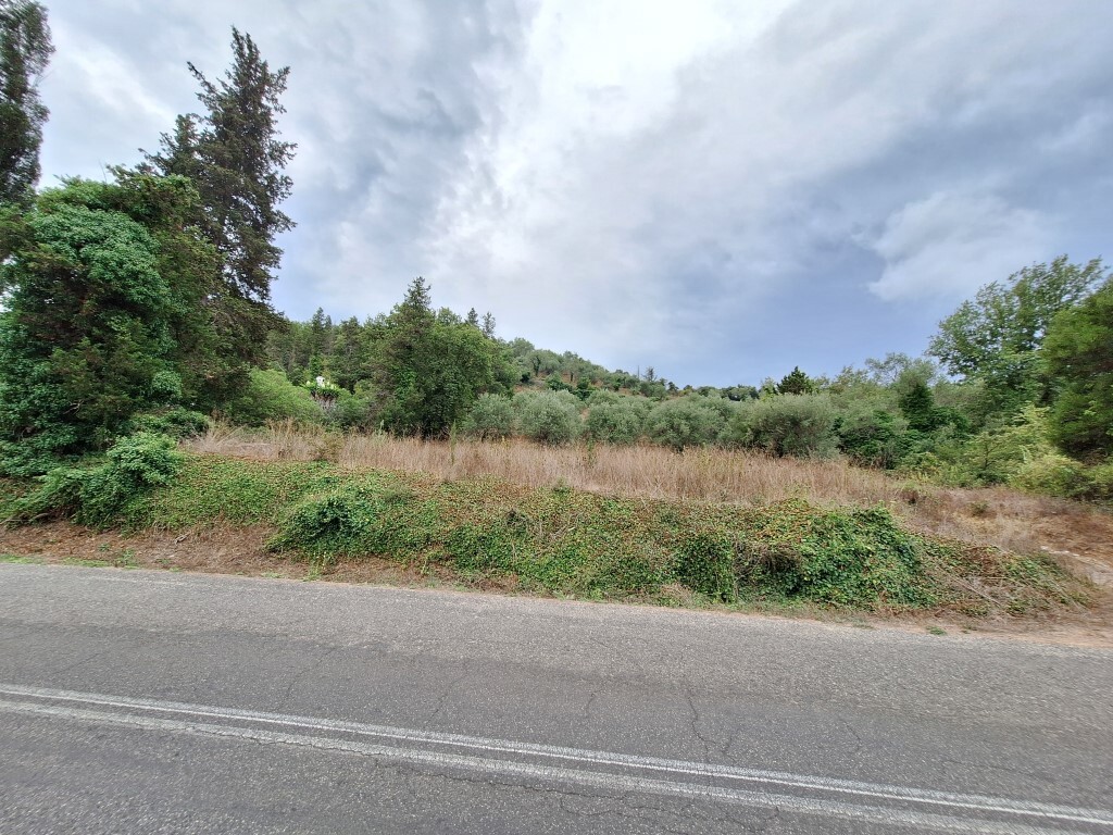 Land in Corfu, Corfu Prefecture, Greece – 60783