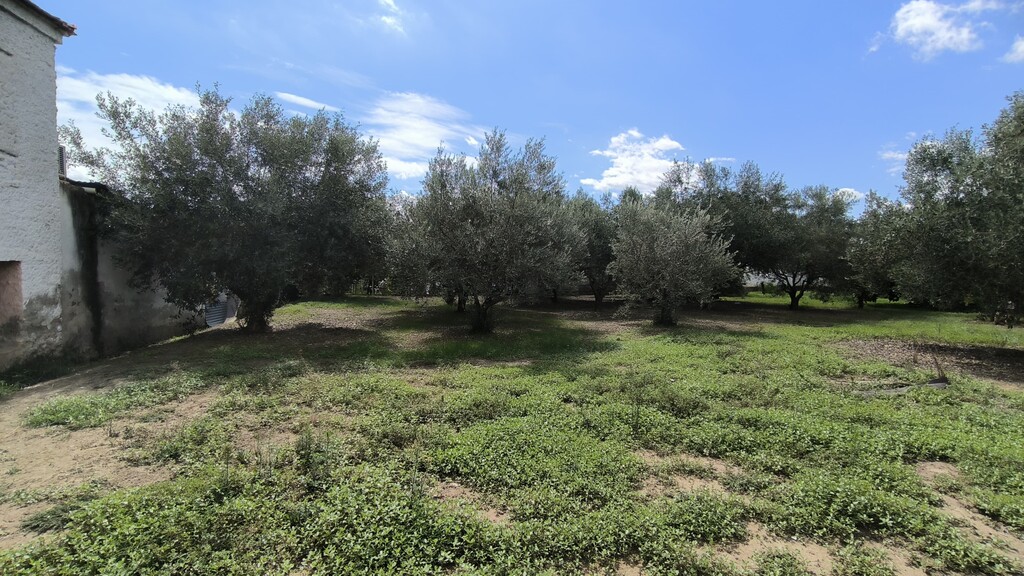 Land in Katerini, Pieria Prefecture, Greece – 60781