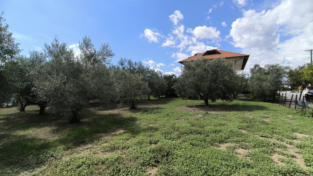 Land in Katerini, Pieria Prefecture, Greece – 60781