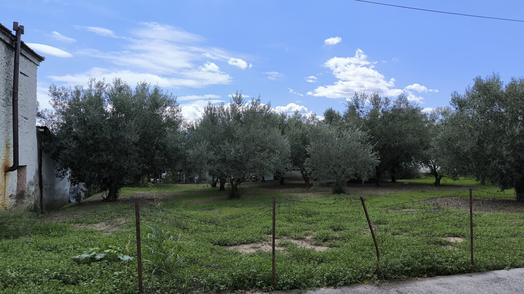 Land in Katerini, Pieria Prefecture, Greece – 60781