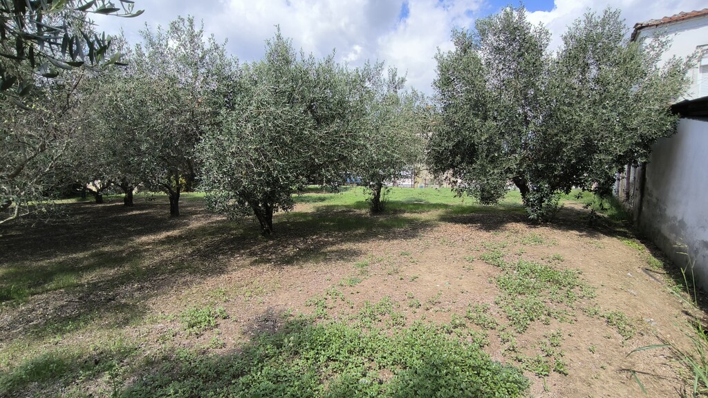 Land in Katerini, Pieria Prefecture, Greece – 60781