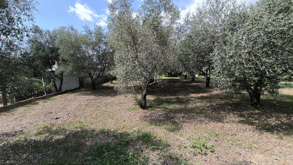 Land in Katerini, Pieria Prefecture, Greece – 60781