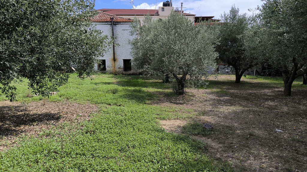Land in Katerini, Pieria Prefecture, Greece – 60781