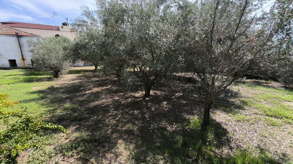 Land in Katerini, Pieria Prefecture, Greece – 60781