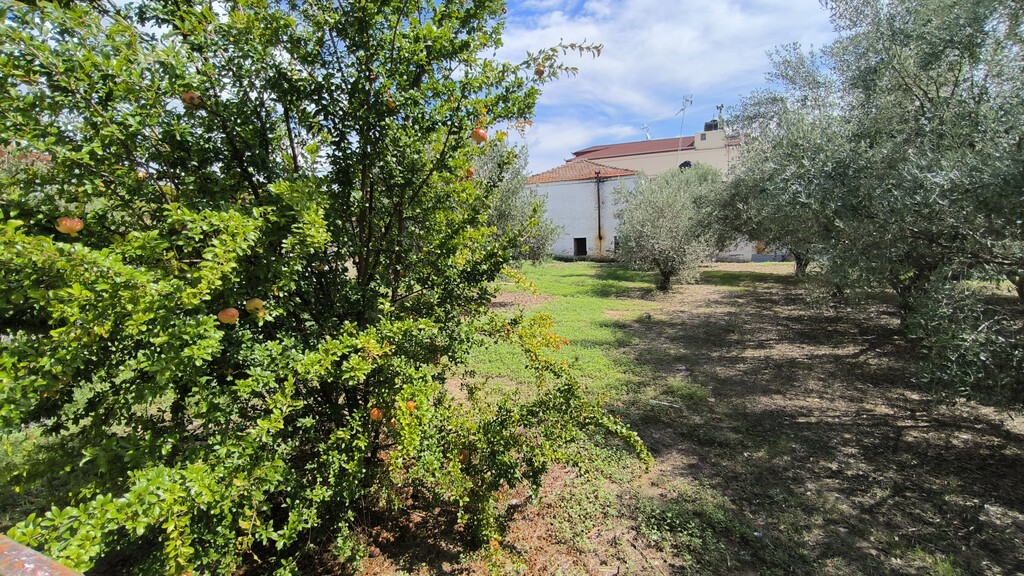 Land in Katerini, Pieria Prefecture, Greece – 60781