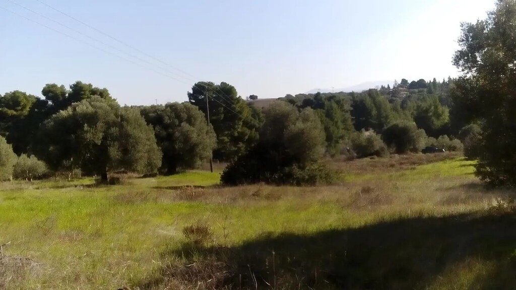 Land in Sithonia, Chalkidiki, Greece – 60764