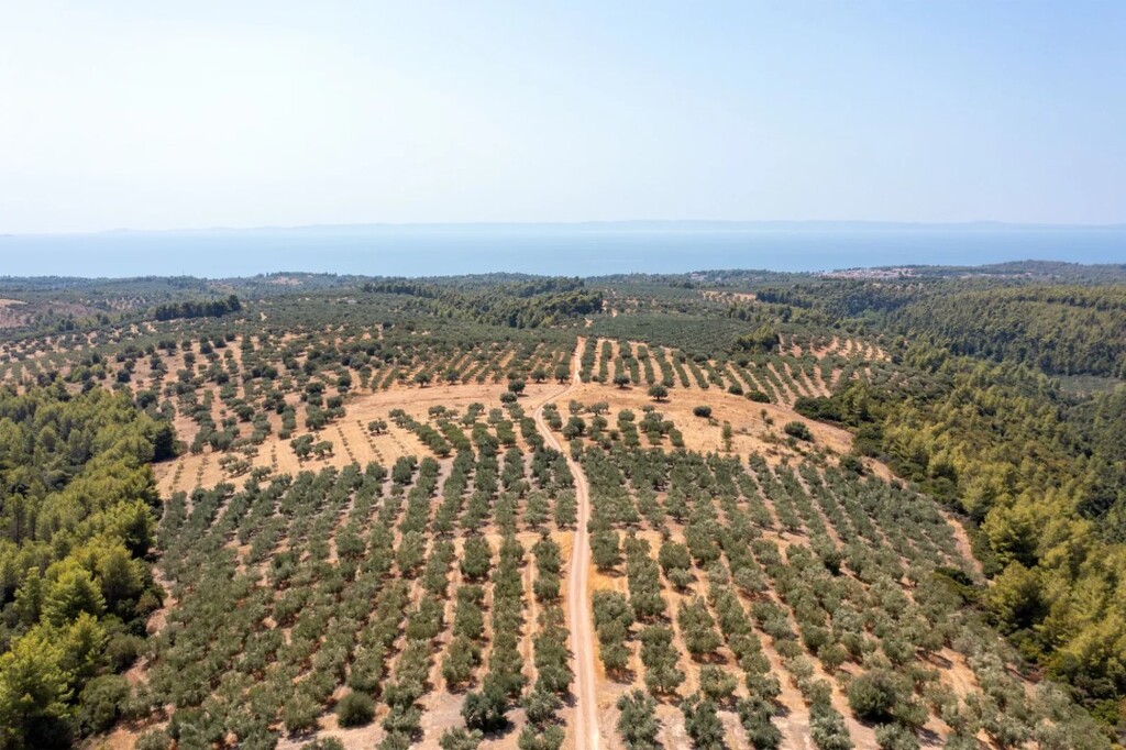 Land in Sithonia, Chalkidiki, Greece – 60745