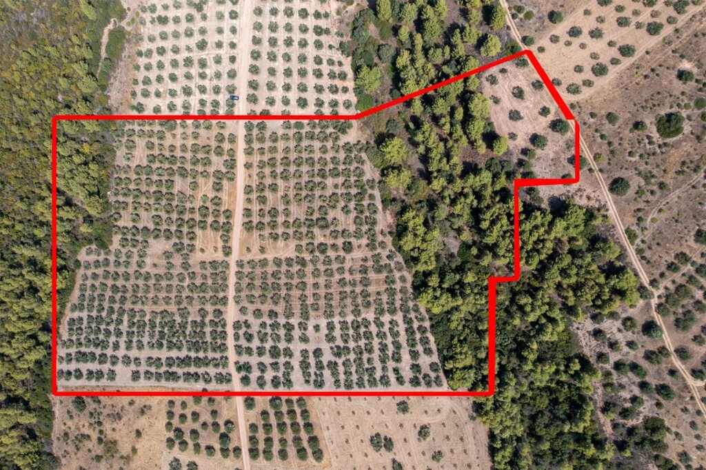 Land in Sithonia, Chalkidiki, Greece – 60745