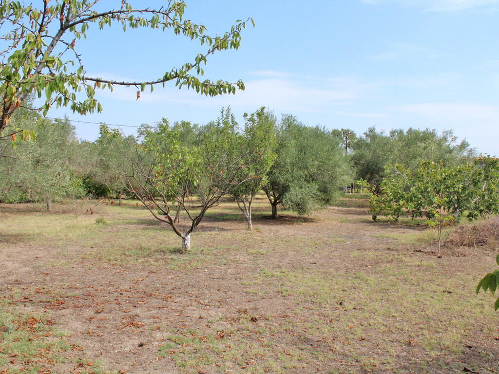 Land in Methoni, Pieria Prefecture, Greece – 60651