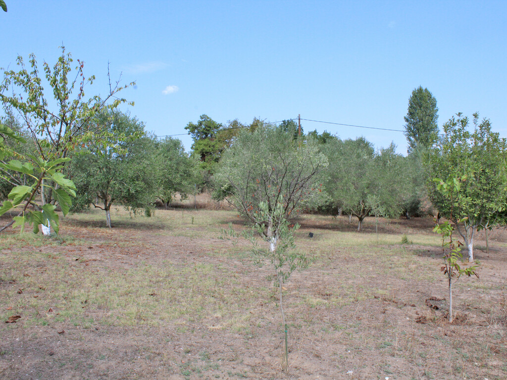 Land in Methoni, Pieria Prefecture, Greece – 60651