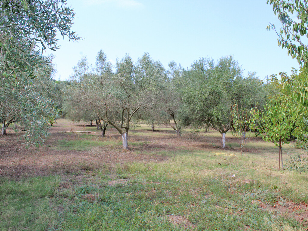 Land in Methoni, Pieria Prefecture, Greece – 60651