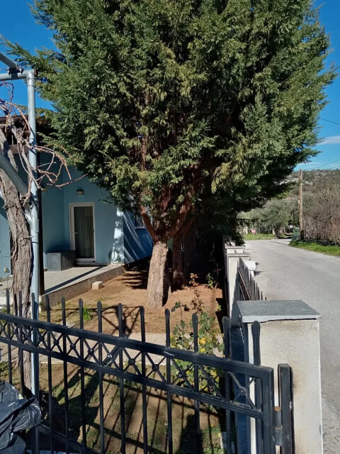 2 bedroom Detached house in Thasos, Kavala Prefecture, Greece – 60641