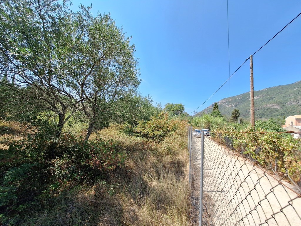 Land in Corfu, Corfu Prefecture, Greece – 60620